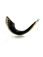 Load image into Gallery viewer, Shofar Natural Ram&#39;s Horn
