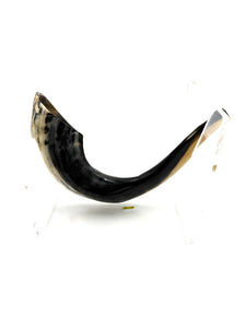 Shofar Natural Ram's Horn