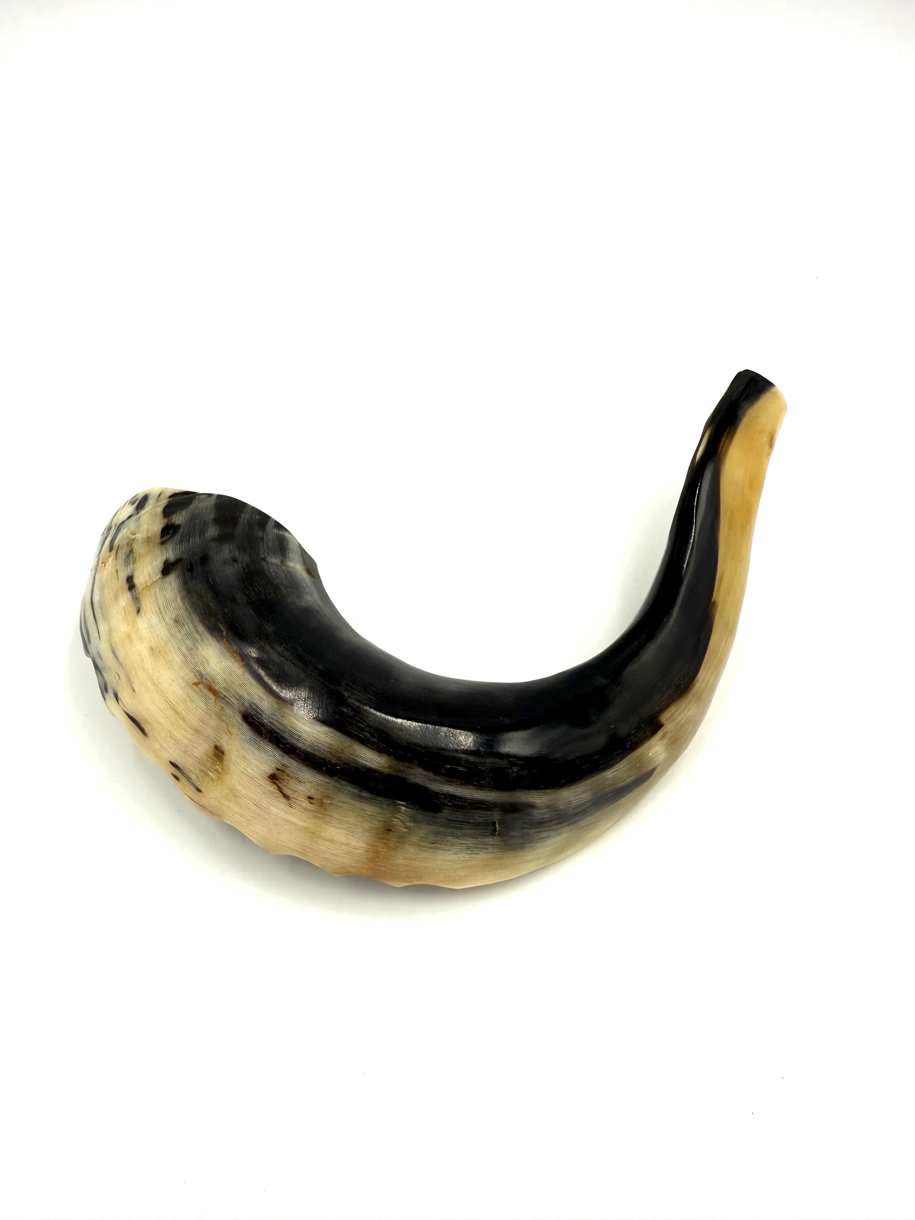 Shofar Natural Ram's Horn