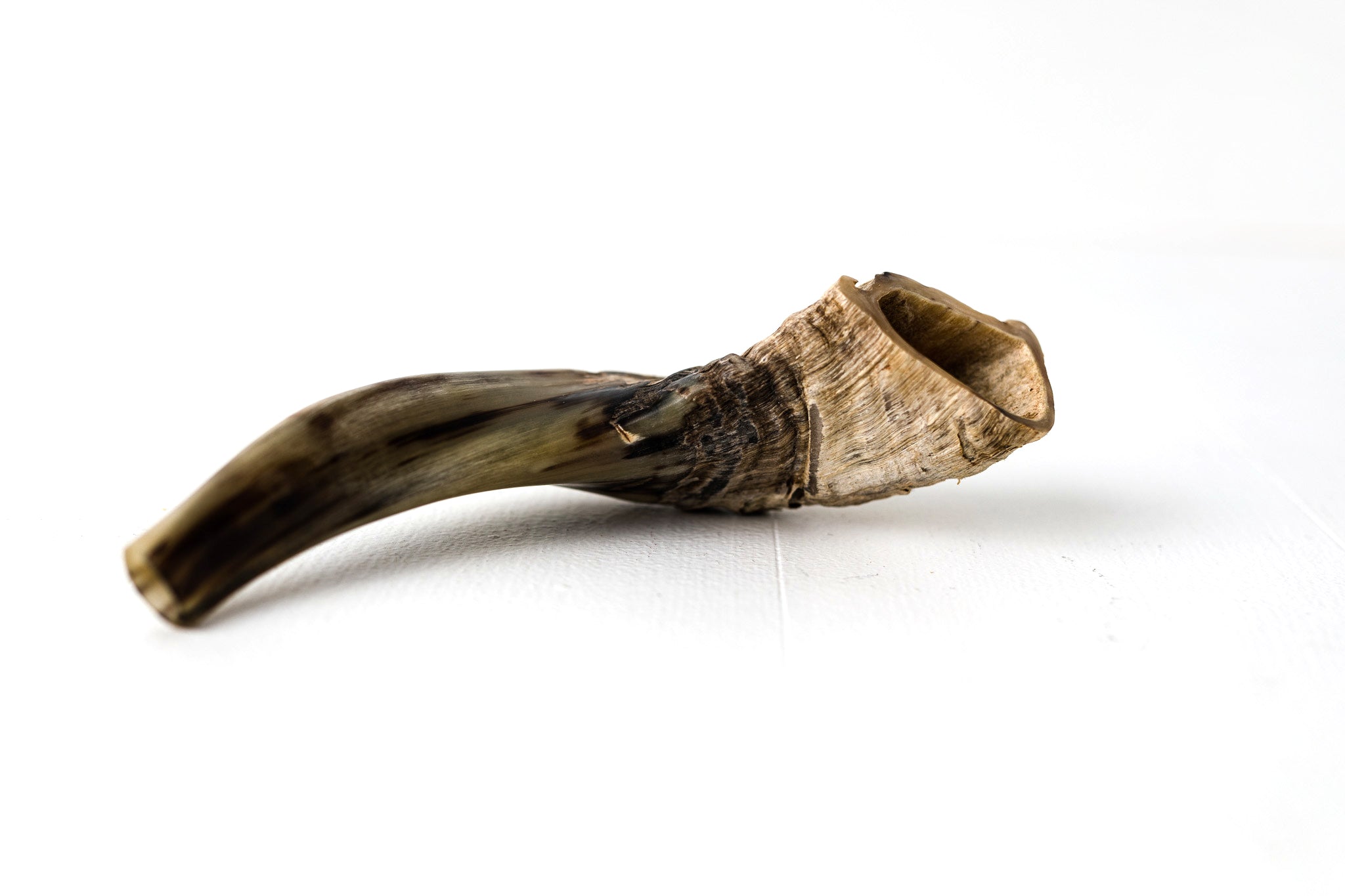 Shofar Natural Ram's Horn